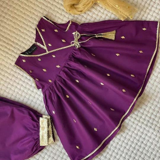 Brown Zipper Breathable Baby Boy And Girls Imported Shoes | BGS104